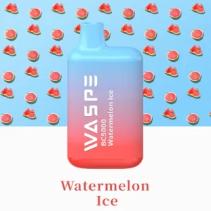 Vandmelon lce