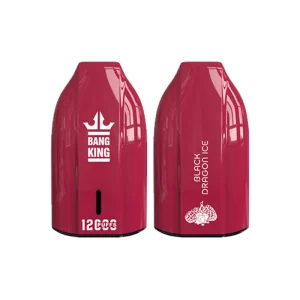 BLACK DRAGON ICE BANG KING 12000 PUFFS KEY TYPE E-Zigarette