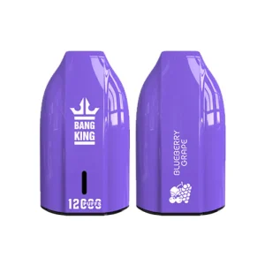 BLUEBERRY GRAPE Bang King PUFFS KEY TYPE Deine E-Zigarette