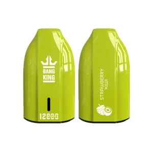STRAWBERRY KIWI BANG KING 12000 PUFFS KEY TYPE