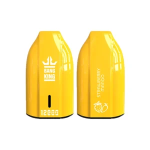 STRAWBERRY MANGO BANG KING 12000 PUFFS KEY TYPE E-Zigarette