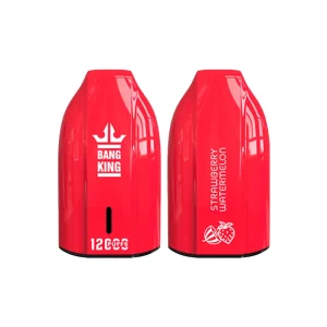 BRAKŽIŲ ARBUZŲ BANGŲ KARALIUS 12000 PUFFS KEY TYPE E-cigaretė