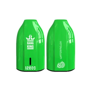 BANGŲ KARALIUS 12000 PUFFS KEY TIPAS ARBUZAS