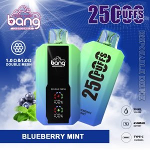 blueberry mint BANG KING 25000 PUFFS LARGE SCREEN B25