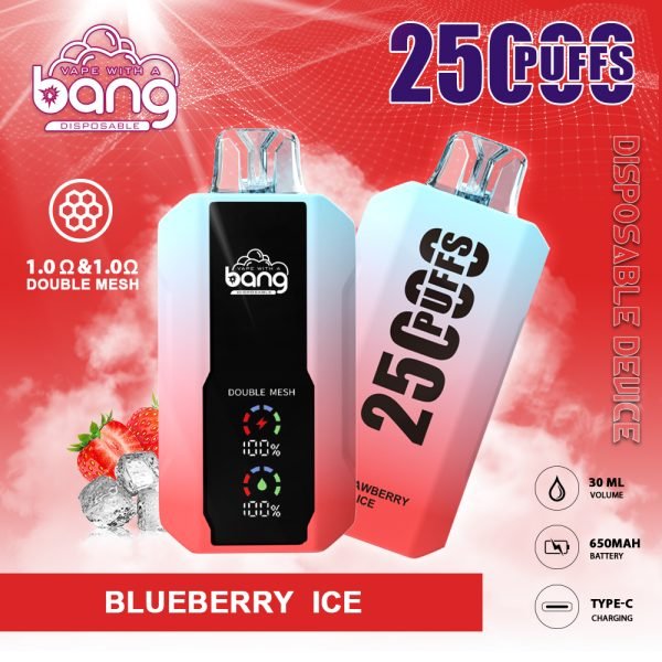 strawberry ice BANG KING 25000 PUFFS LARGE SCREEN B25