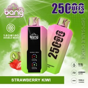 fresa kiwi BANG KING 25000 PUFFS PANTALLA GRANDE B25