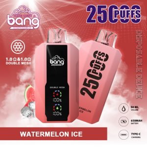 Objavte osvieženie BANG KING 25000 Puffs Großbildschirm B25 Watermelon Ice